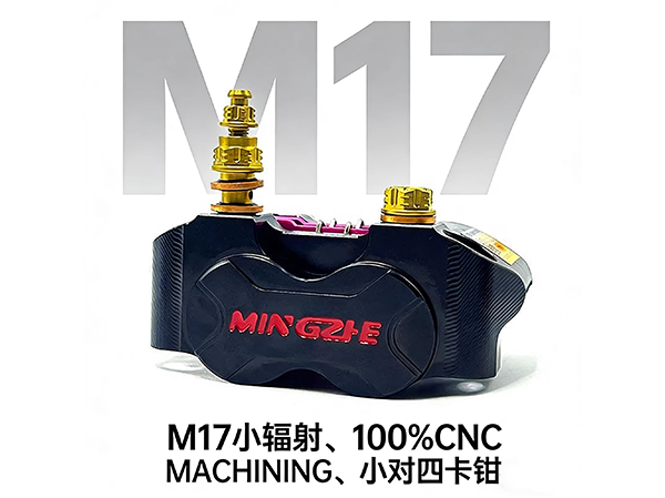 小辐射卡钳220大碟 骠骑bws鬼火战速电动车碟刹电摩